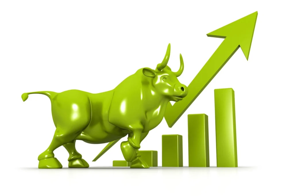 bull vs bear markets