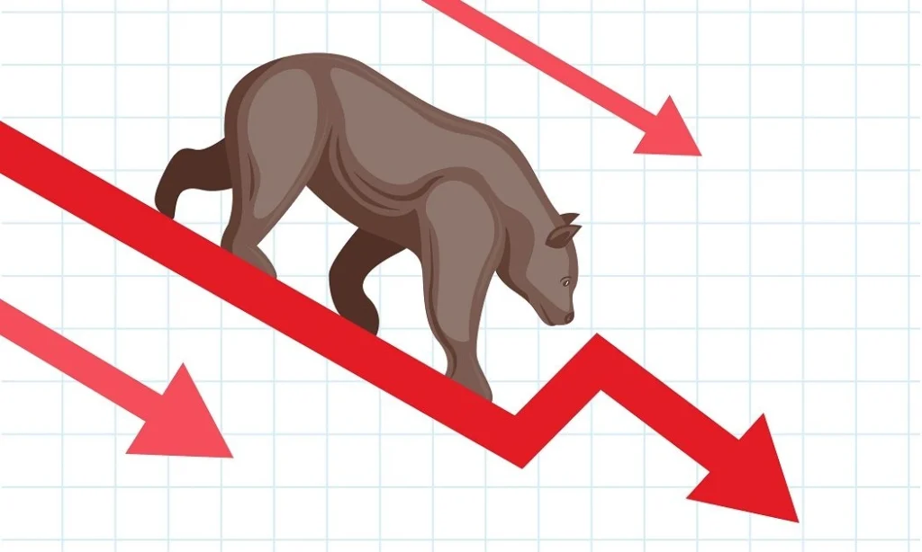 bull vs bear markets