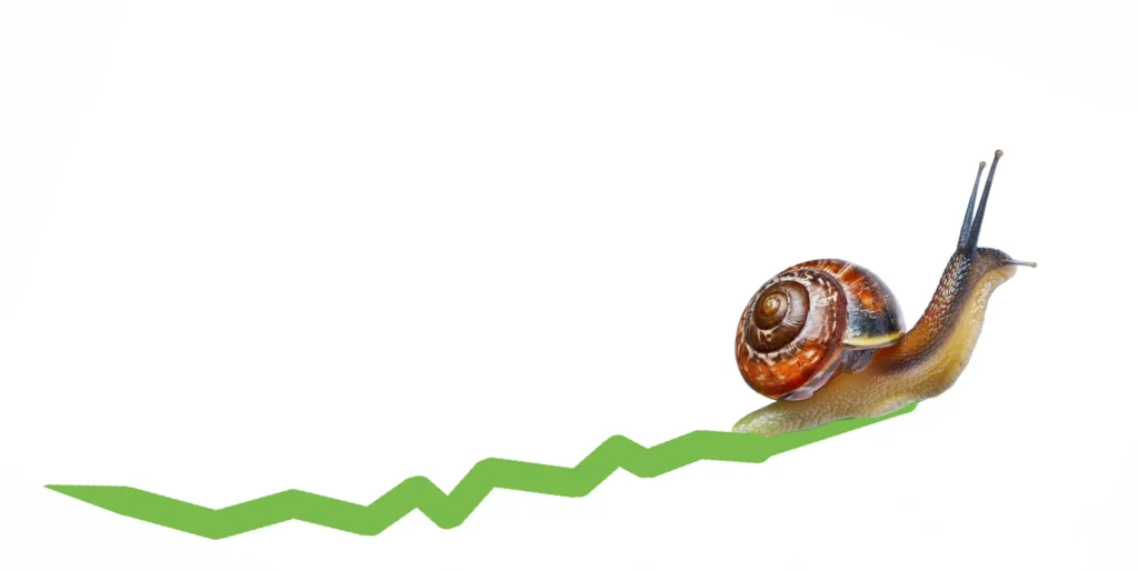 slow growth