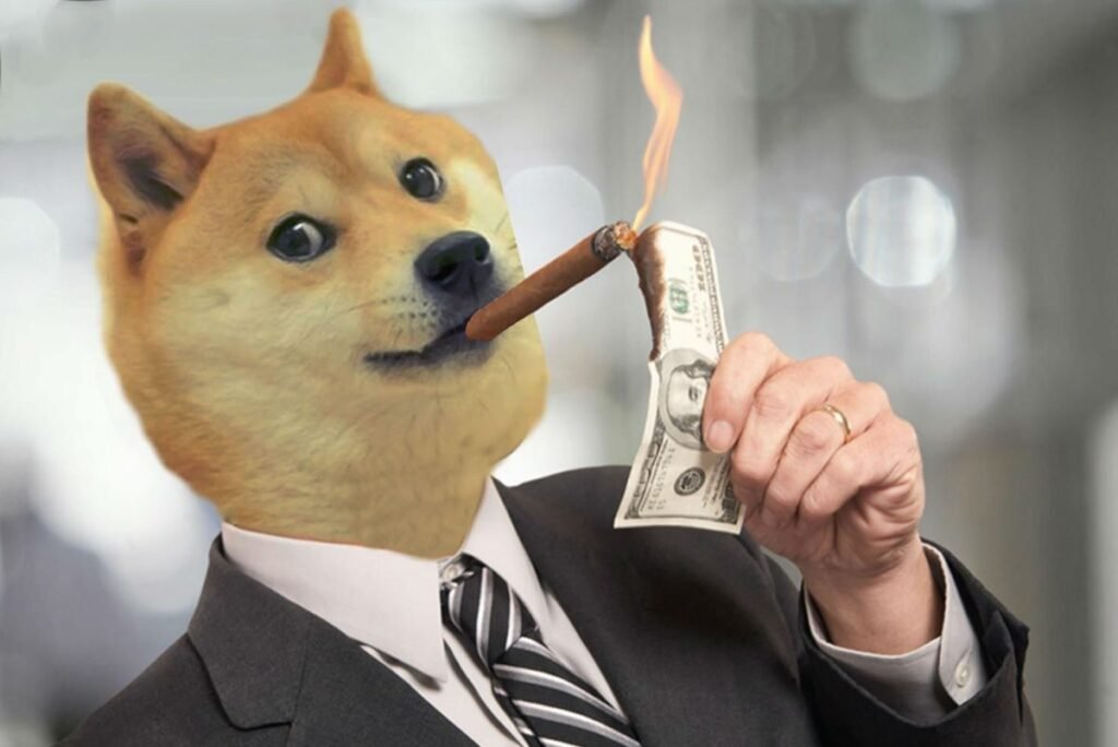 doge