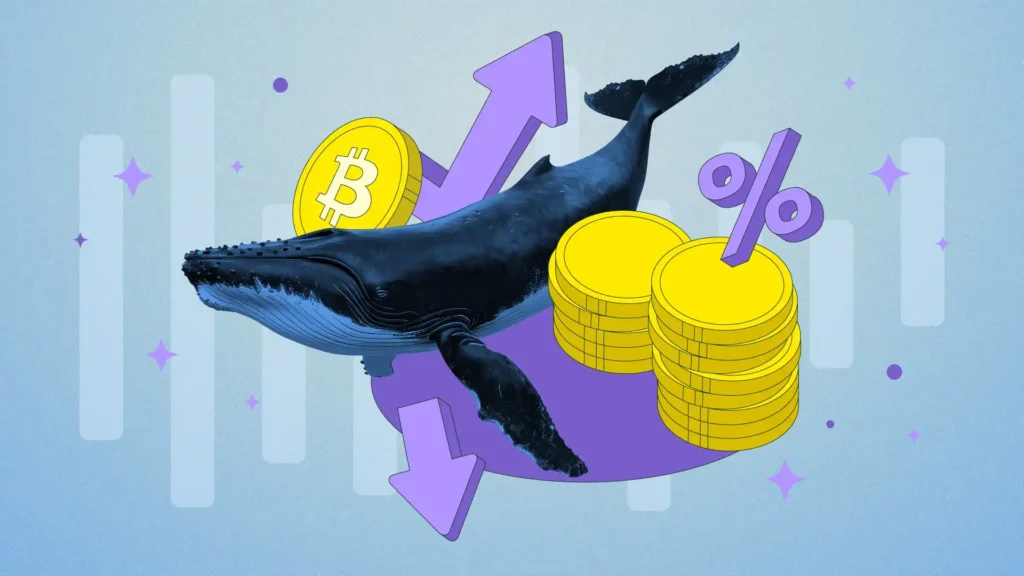Crypto Whales Explained