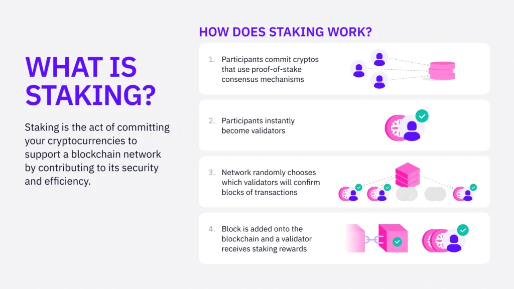 Staking Crypto for Beginners